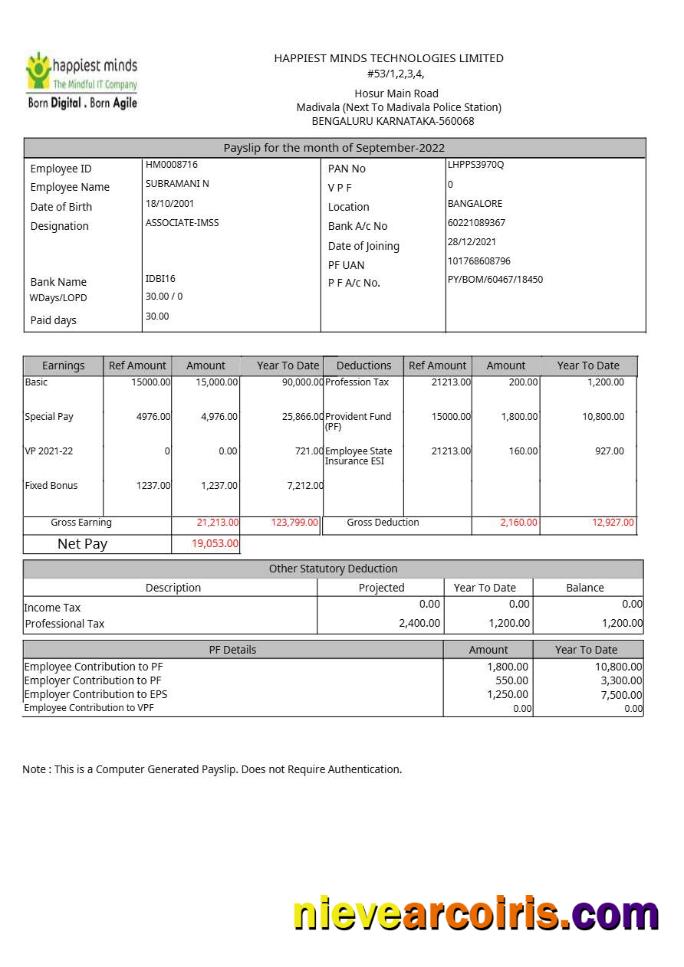 Happiest Minds Technologies payslip